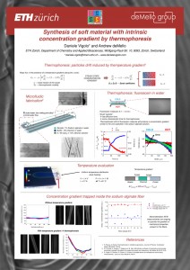 Poster_Soft-Matter-Conference_2013_Rome