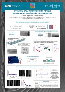 Poster_SwissSoftDays_10.2013_Bern