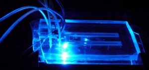 Microfluidic-chip-blue