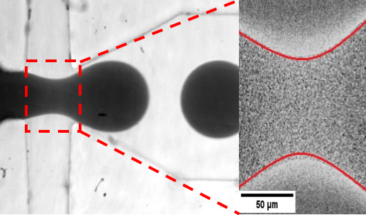 Marangoni effect during droplet formation